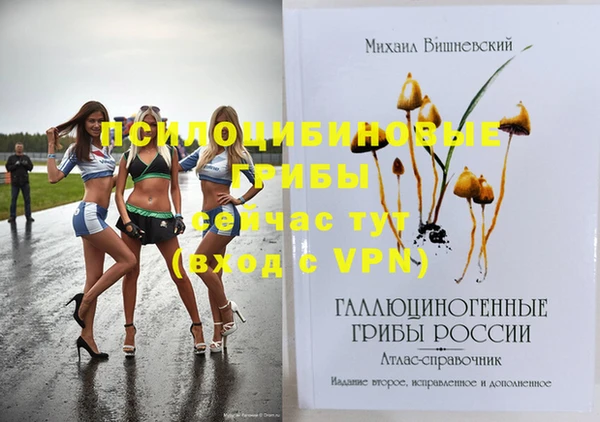 молекула духа Нефтегорск