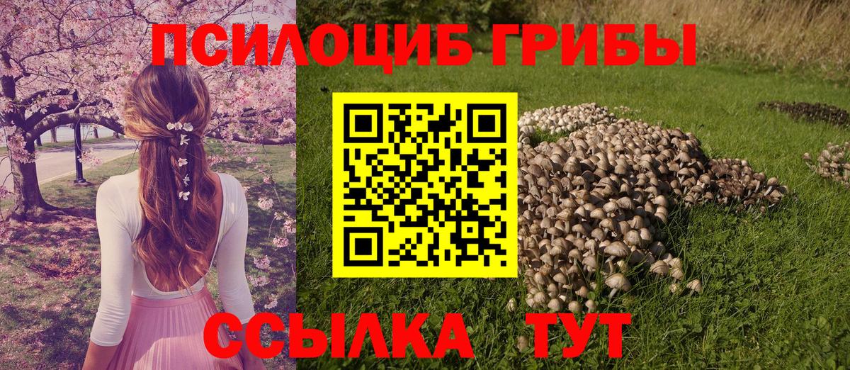 Галлюциногенные грибы мицелий  Вход с VPN  Березники 