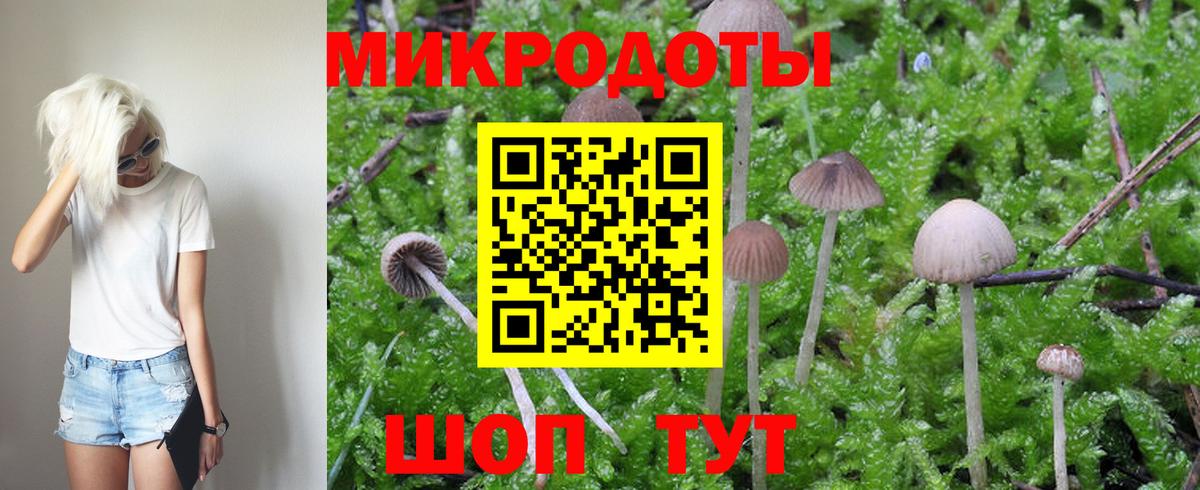 Псилоцибиновые грибы GOLDEN TEACHER Березники